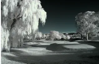 Lithgow Golf Club 4th green Infra-red