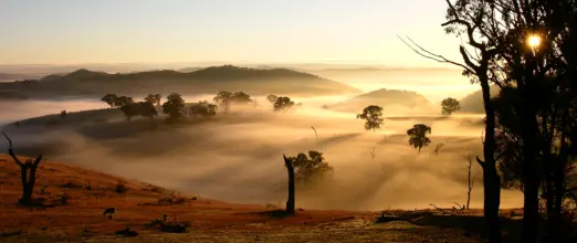 Tuena Sunrise early AM opportunity photo en-route to Moss Vale 2005