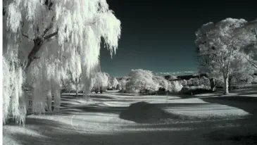 Lithgow Golf Club 4th green Infra-red