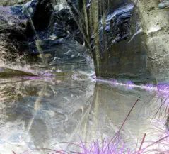 Big Bend at Carnarvon Gorge a long walk from camping area ...