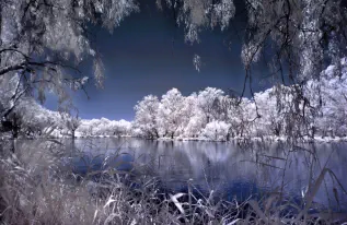 Murray River Estuary west of Albury Infra-red